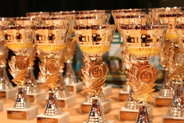 cup, winner, award, award, award, award, award, award. The fields an actor awards record needs, and the totals it should refuse to store
