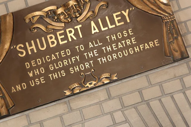 nyc, theatre, theater, entertainment, tourism, musical, broadway, show, manhattan, 42nd, stage, actor, midtown, shubert alley, live theatre, brown theater, broadway, broadway, broadway, broadway, broadway. How to think about stage and broadway actors directory