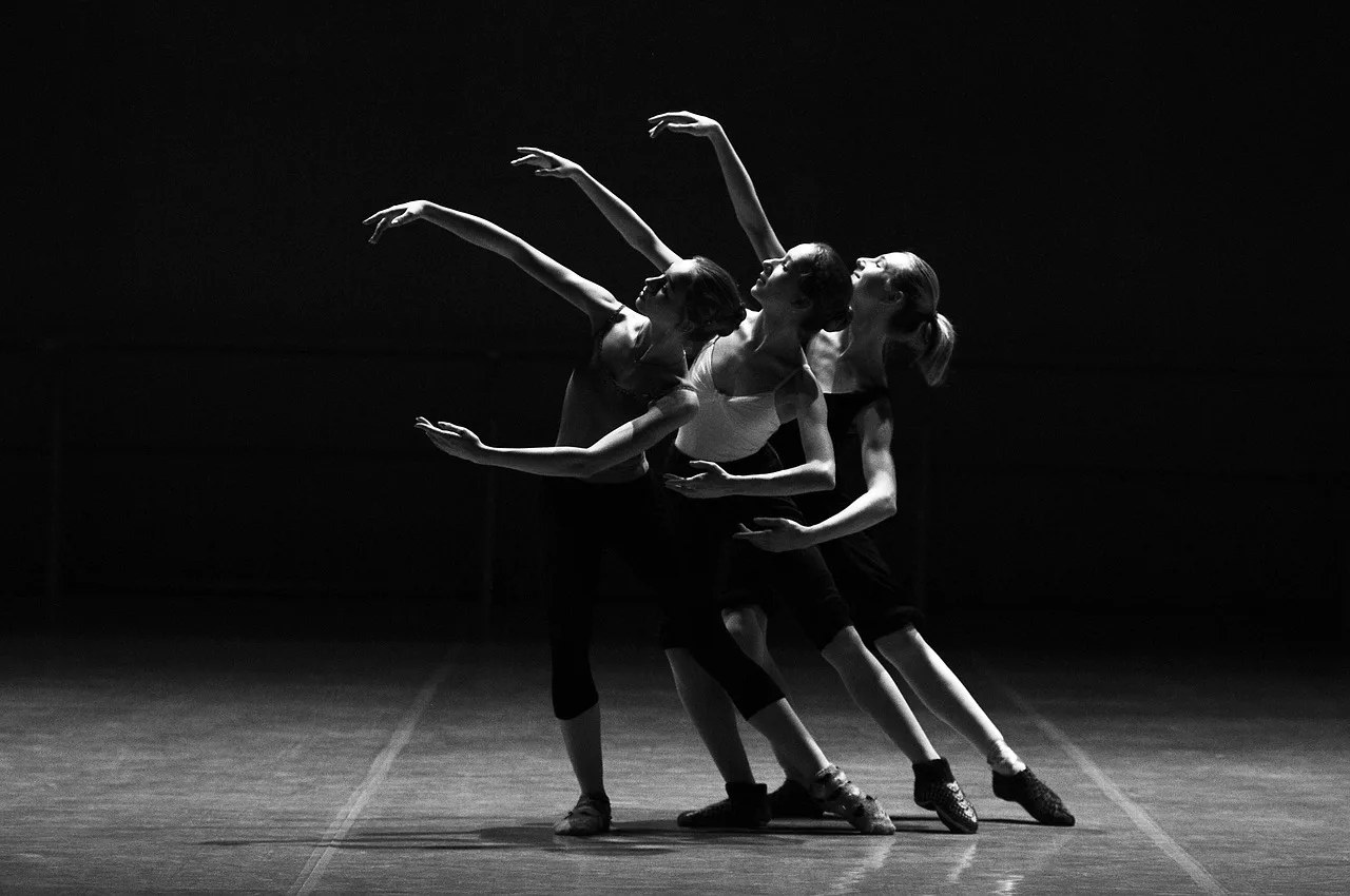 ballerinas, dance, ballet, dancers, dancing, performers, performance, girls, women, stage, scene, show, theater, musical, elegance, elegant, black and white, monochrome, dance, dance, dance, dance, dance, dancing, theater. Stage and Broadway Actors Search: Verify Theater Credits
