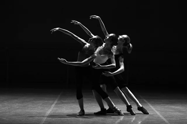 ballerinas, dance, ballet, dancers, dancing, performers, performance, girls, women, stage, scene, show, theater, musical, elegance, elegant, black and white, monochrome, dance, dance, dance, dance, dance, dancing, theater. Stage and Broadway Actors Search: Verify Theater Credits