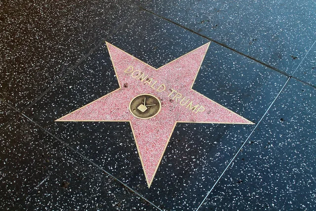 hollywood, los angeles, walk of fame, donald trump, famous, star, celebrity, blue walking, blue angel, blue celebrate, los angeles, los angeles, los angeles, los angeles, los angeles, donald trump, donald trump, donald trump, donald trump. Five kinds of honour, with a walk of fame star as the example